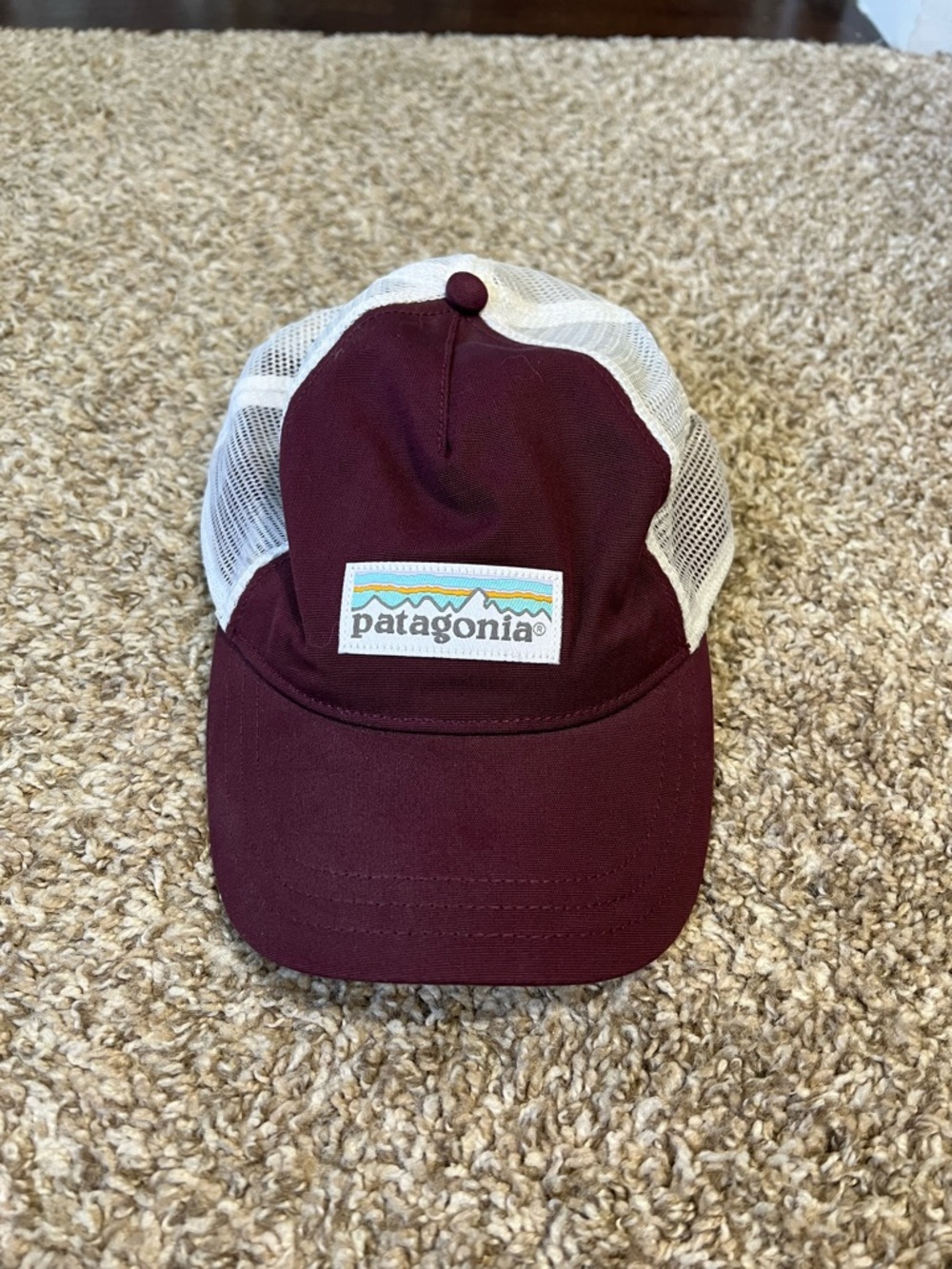Patagonia trucker hat